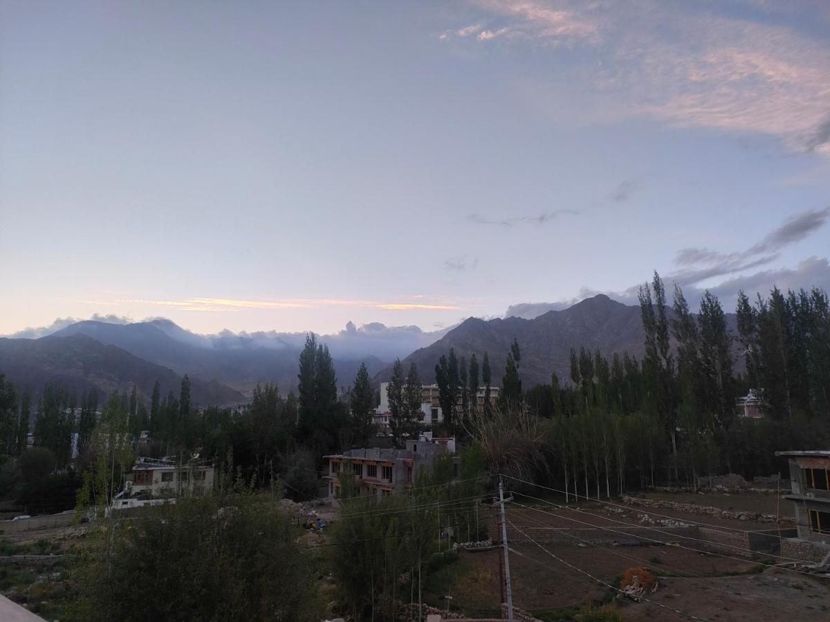 Hotel Alpine Ladakh Лех Экстерьер фото